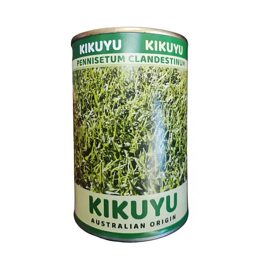 ΣΠΟΡΟΙ ΓΚΑΖΟΝ KIKUYU - PENNISETUM CLANDESTINUM 250gr