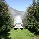 ΣΥΡΟΜΕΝΟ ΨΕΚΑΣΤΙΚΟ ECO VAC 896 ANDREOLI ENGEENIRING 