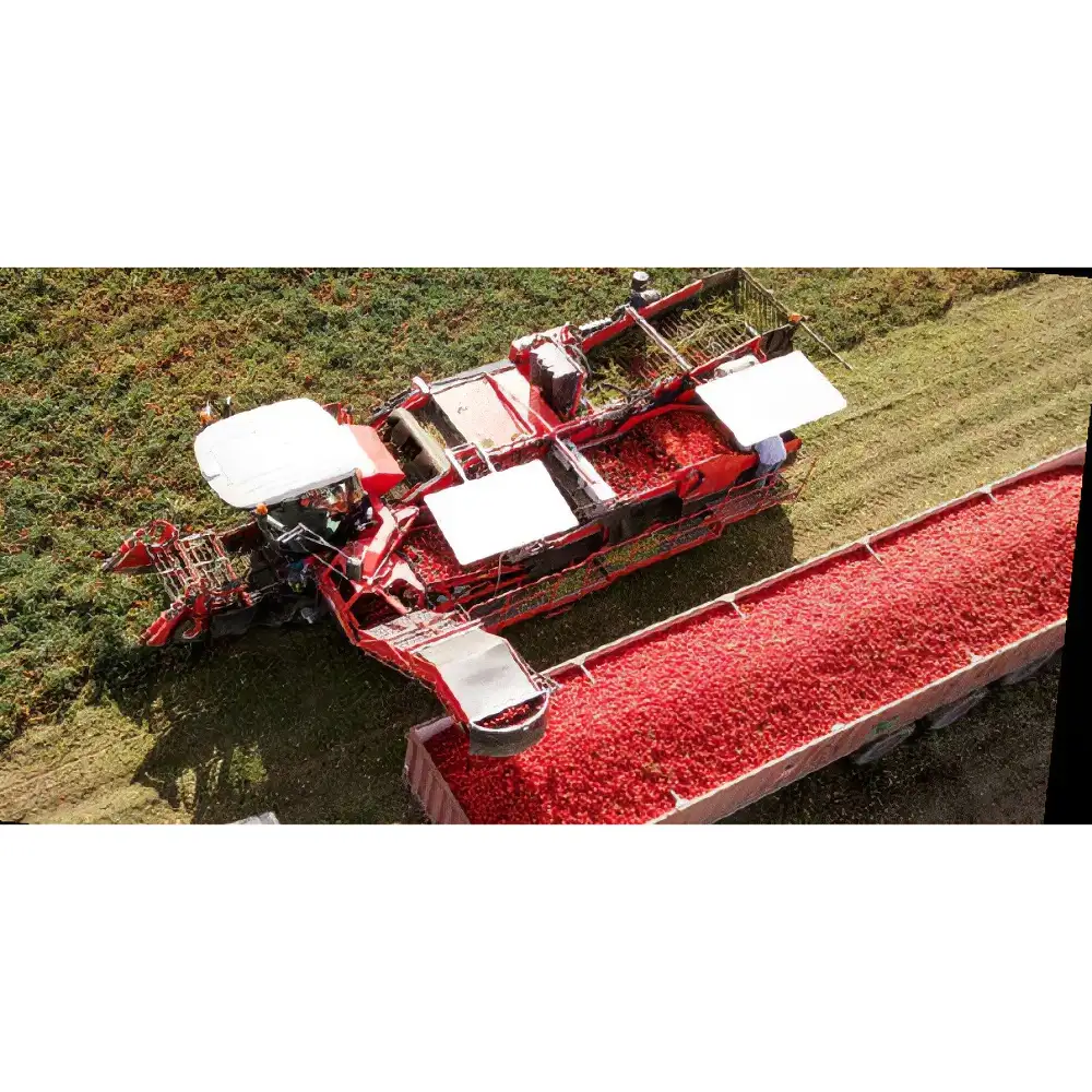 ΑΥΤΟΚΙΝΟΥΜΕΝΗ ΣΥΛΛΕΚΤΙΚΗ ΤΟΜΑΤΑΣ B/RP BARIGELLI