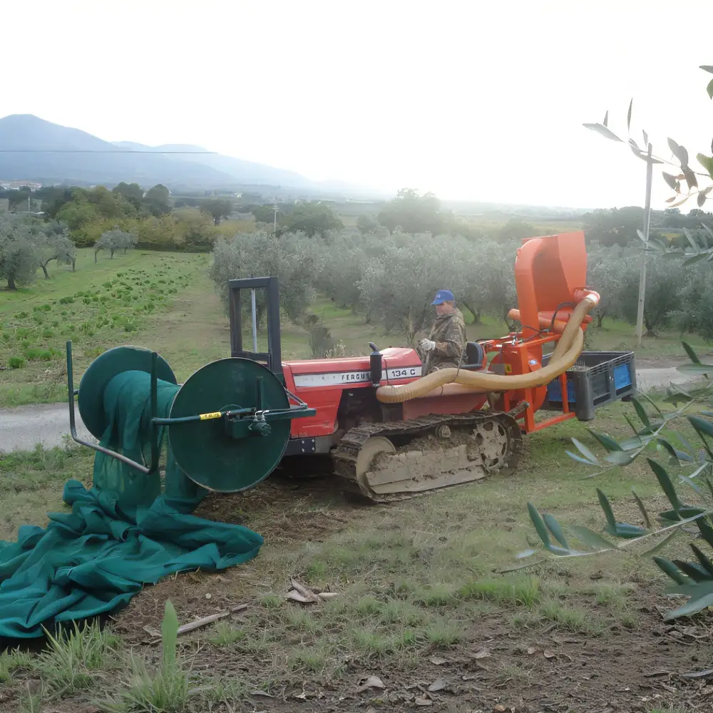 ΣΥΛΛΕΚΤΗΣ ΕΛΑΙΟΔΙΧΤΩΝ BRAGLIA & 2 ΚΑΡΟΥΛΙΑ
