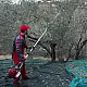 ΕΛΑΙΟΡΑΒΔΙΣΤΙΚΟ CIFARELLI SC605
