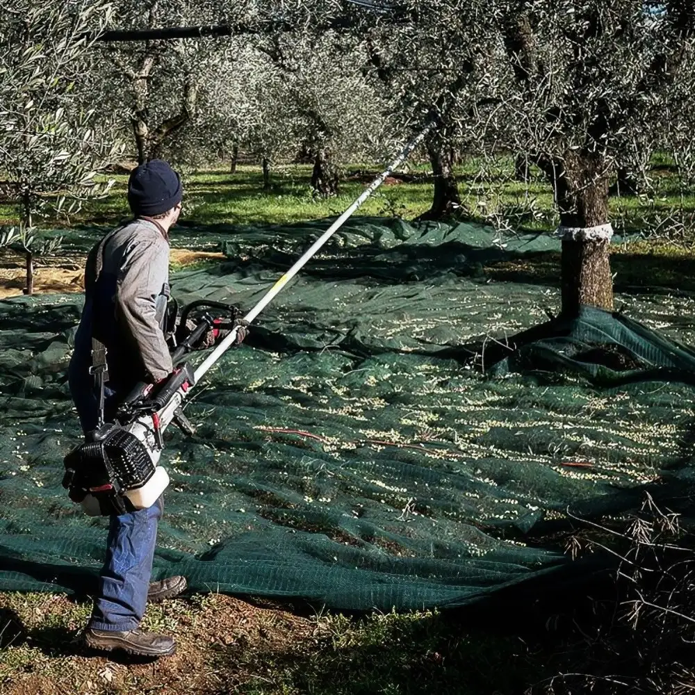 ΕΛΑΙΟΡΑΒΔΙΣΤΙΚΟ CIFARELLI SC605