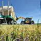 ΤΗΛΕΣΚΟΠΙΚΟΣ ΦΟΡΤΩΤΗΣ AGRIFARMER 30.7 DIECI
