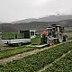ΣΥΛΛΕΚΤΙΚΗ ΕΛΚΟΜΕΝΗ ΛΑΧΑΝΙΚΩΝ 4000 ORTOMEC
