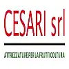CESARI GIANNI