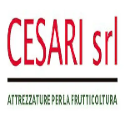 CESARI GIANNI