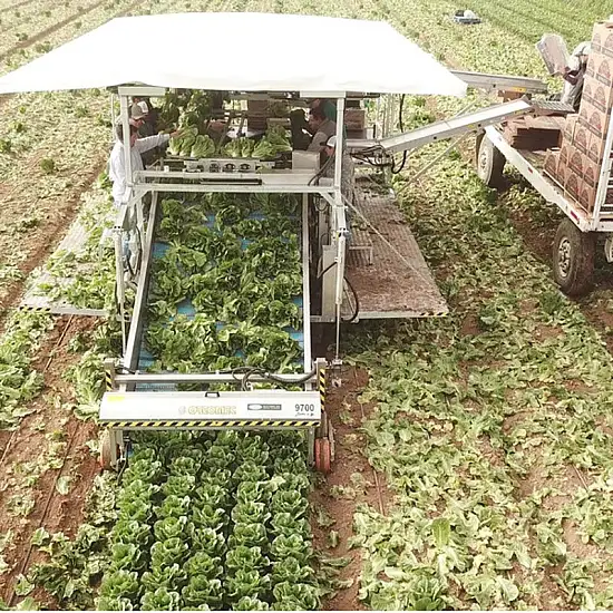 ΣΥΛΛΕΚΤΙΚΗ ΑΥΤΟΚΙΝΟΥΜΕΝΗ ΓΙΑ ΜΑΡΟΥΛΙ 9700 ORTOMEC