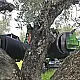 ΑΥΤΟΚΙΝΟΥΜΕΝΟ ΔΟΝΗΤΙΚΟ ΜΗΧΑΝΗΜΑ MINI AGRI 26.6 SICMA / DIECI