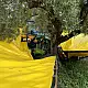 ΑΥΤΟΚΙΝΟΥΜΕΝΟ ΔΟΝΗΤΙΚΟ ΜΗΧΑΝΗΜΑ MINI AGRI 26.6 SICMA / DIECI