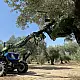 ΑΝΑΡΤΩΜΕΝΟ ΔΟΝΗΤΙΚΟ ΜΗΧΑΝΗΜΑ TF 80 SICMA