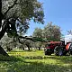 ΑΝΑΡΤΩΜΕΝΟ ΔΟΝΗΤΙΚΟ ΜΗΧΑΝΗΜΑ TF 80 SICMA