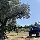 ΑΝΑΡΤΩΜΕΝΟ ΔΟΝΗΤΙΚΟ ΜΗΧΑΝΗΜΑ TF 80 SICMA