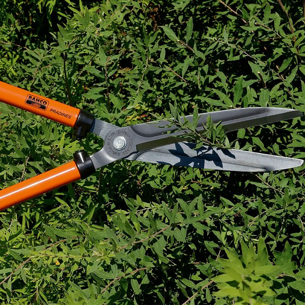 ΨΑΛΙΔΙ ΚΛΑΔΟΥ ΘΑΜΝΩΝ P59-25-F BAHCO