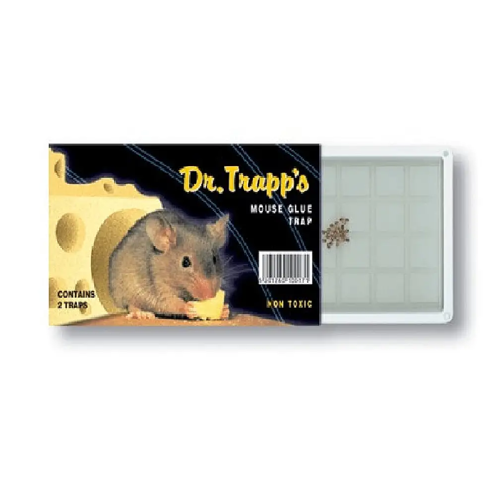ΠΟΝΤΙΚΟΠΑΓΙΔΑ ΜΕ ΚΟΛΛΑ DR.TRAPP'S ΜΙΚΡΗ