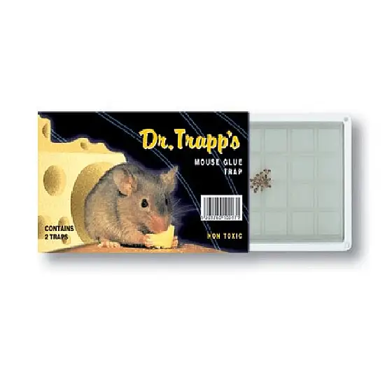 ΠΟΝΤΙΚΟΠΑΓΙΔΑ ΜΕ ΚΟΛΛΑ DR.TRAPP'S ΜΙΚΡΗ