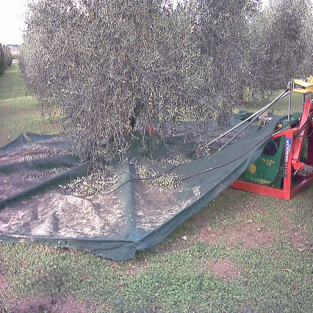 ΟΜΠΡΕΛΑ ΣΥΛΛΟΓΗΣ ΕΛΙΩΝ ΚΑΙ ΑΛΛΩΝ ΚΑΡΠΩΝ