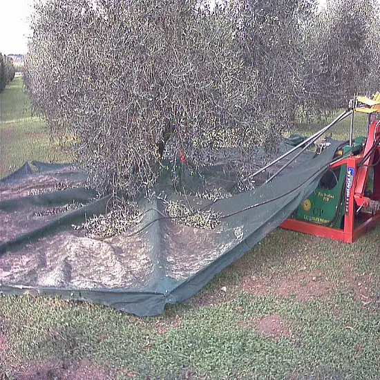 ΟΜΠΡΕΛΑ ΣΥΛΛΟΓΗΣ ΕΛΙΩΝ ΚΑΙ ΑΛΛΩΝ ΚΑΡΠΩΝ