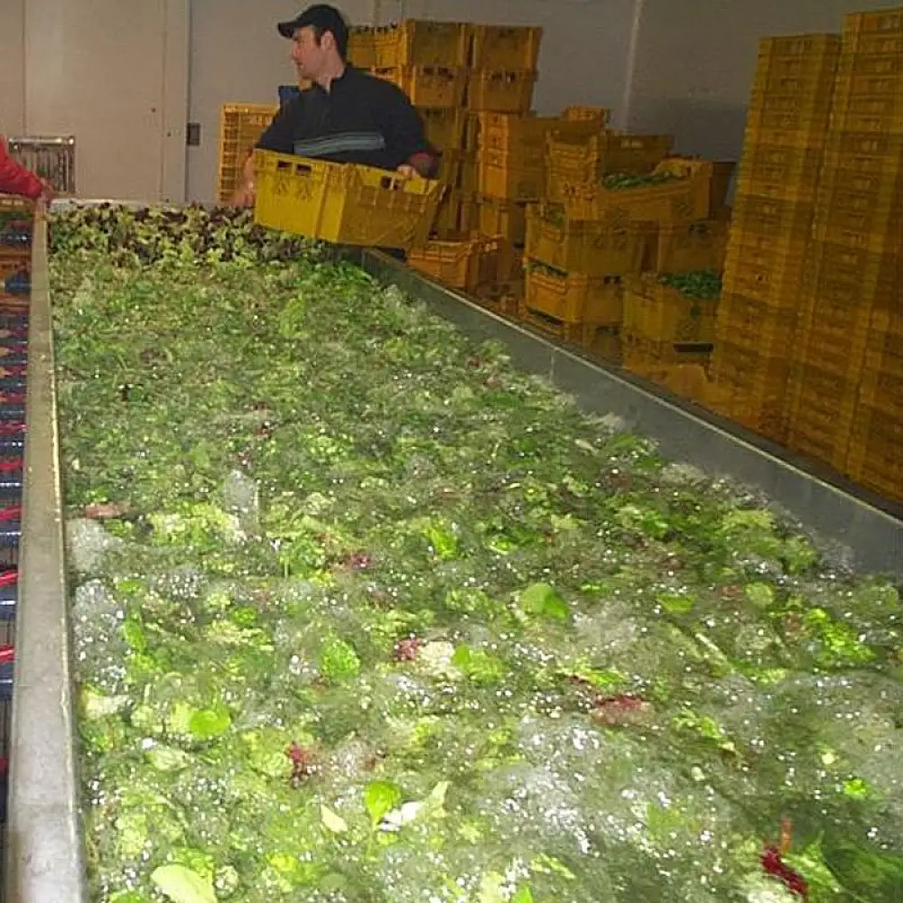 ΠΛΥΝΤΗΡΙΟ ΜΕΓΑΛΗΣ ΚΛΙΜΑΚΑΣ ΓΙΑ BABY LEAF BACJPR BRIAND