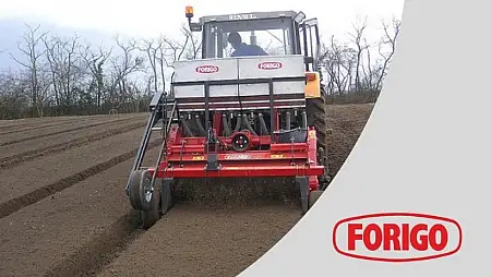 forigo
