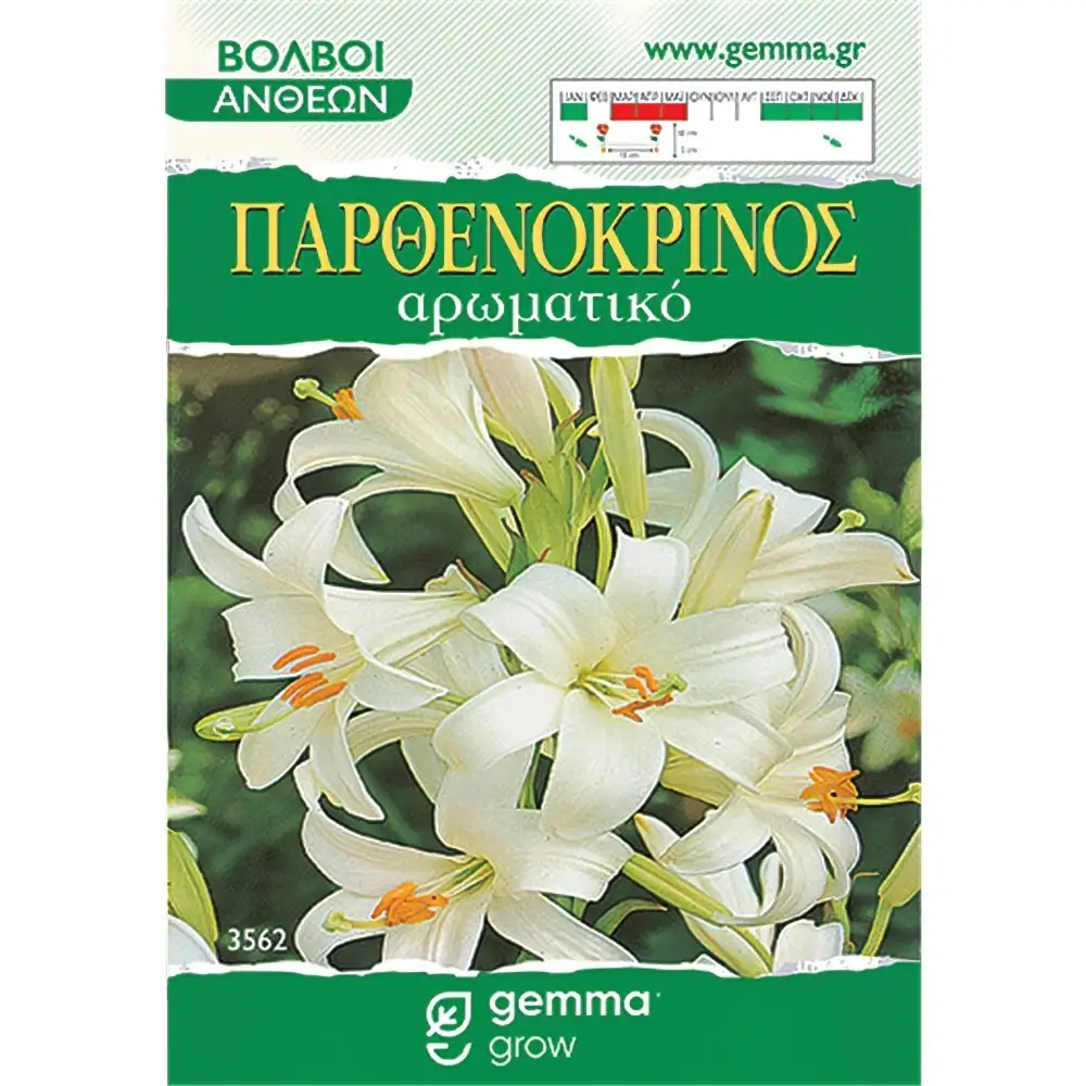 ΒΟΛΒΟΙ ΛΟΥΛΟΥΔΙΩΝ ΣΕ ΦΑΚΕΛΑΚΙ