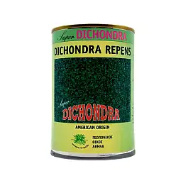 DICHONDRA LAWN SEEDS - DICHONDRA REPENS 1Kg