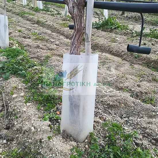 ΣΑΚΟΥΛΑΚΙΑ ΠΡΟΣΤΑΤΕΥΤΙΚΑ ΔΕΝΔΡΩΝ 16Χ30cm