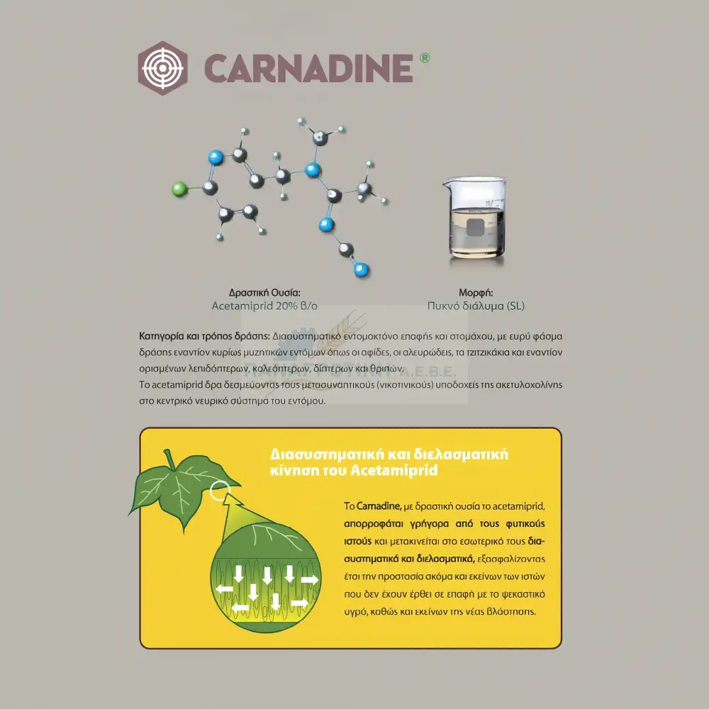 CARNADINE 1LIT - ΔΙΑΣΥΣΤΗΜΑΤΙΚΟ ΕΝΤΟΜΟΚΤΟΝΟ ACETAMIPRID