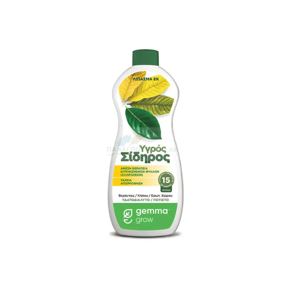 ΛΙΠΑΣΜΑ ΥΓΡΟΣ ΣΙΔΗΡΟΣ GEMMA 300ml