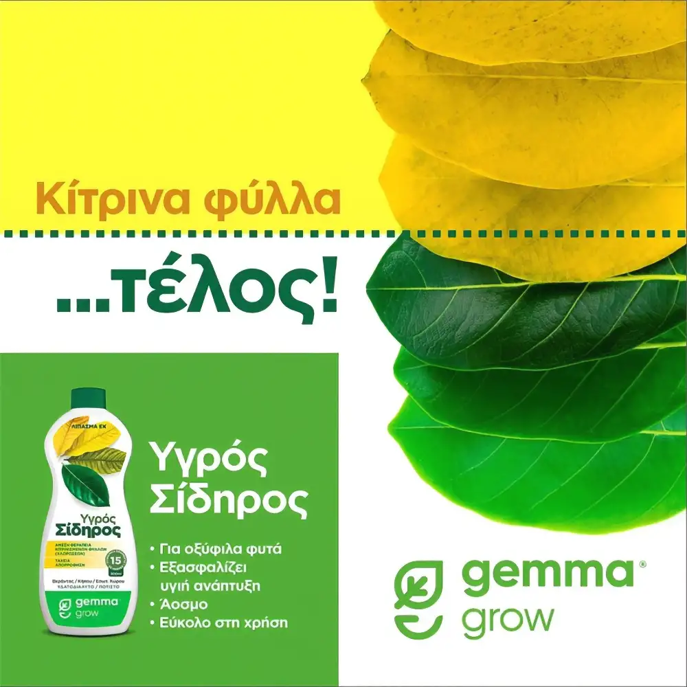 ΛΙΠΑΣΜΑ ΥΓΡΟΣ ΣΙΔΗΡΟΣ GEMMA 300ml